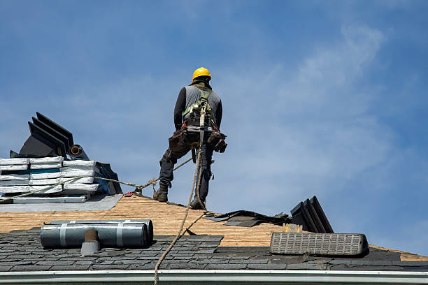 Professional Gutter Installation technician working in Leonard, TX